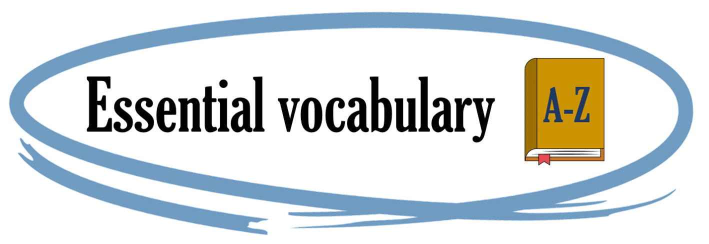 Essential vocabulary for this lesson