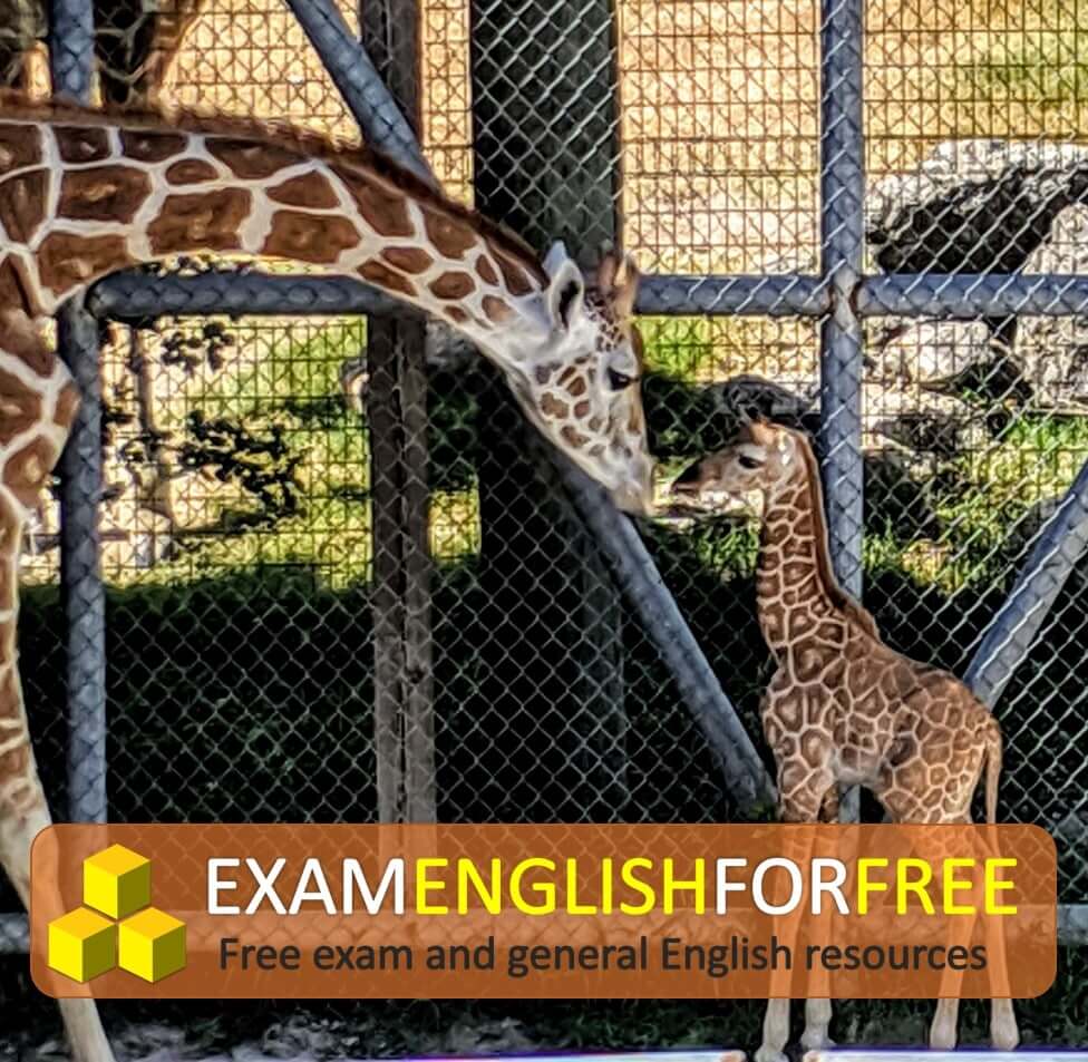 IELTS Task 2 model answer 9 – Zoos should be closed