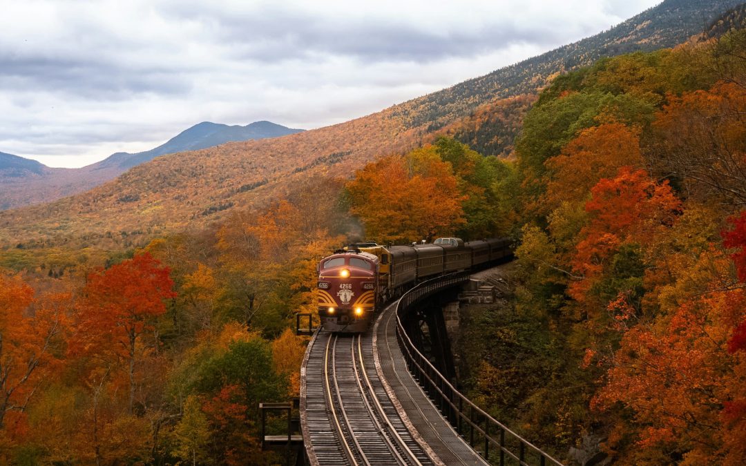 10 useful words relating to transport to use in your IELTS exam