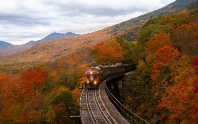 10 useful words relating to transport to use in your IELTS exam